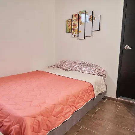 Apartment Passarela *